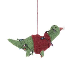 Dinosaurs with Jumper