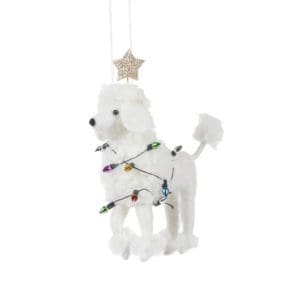 Poodle With Lights