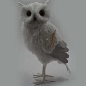 Standing White Owl