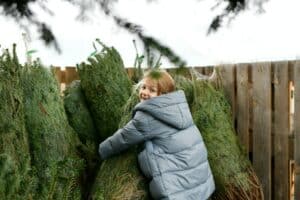 Small girl chooses a Christmas tree in the market.